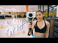 VLOG | a day off, meet the dogs, workout + meal prep