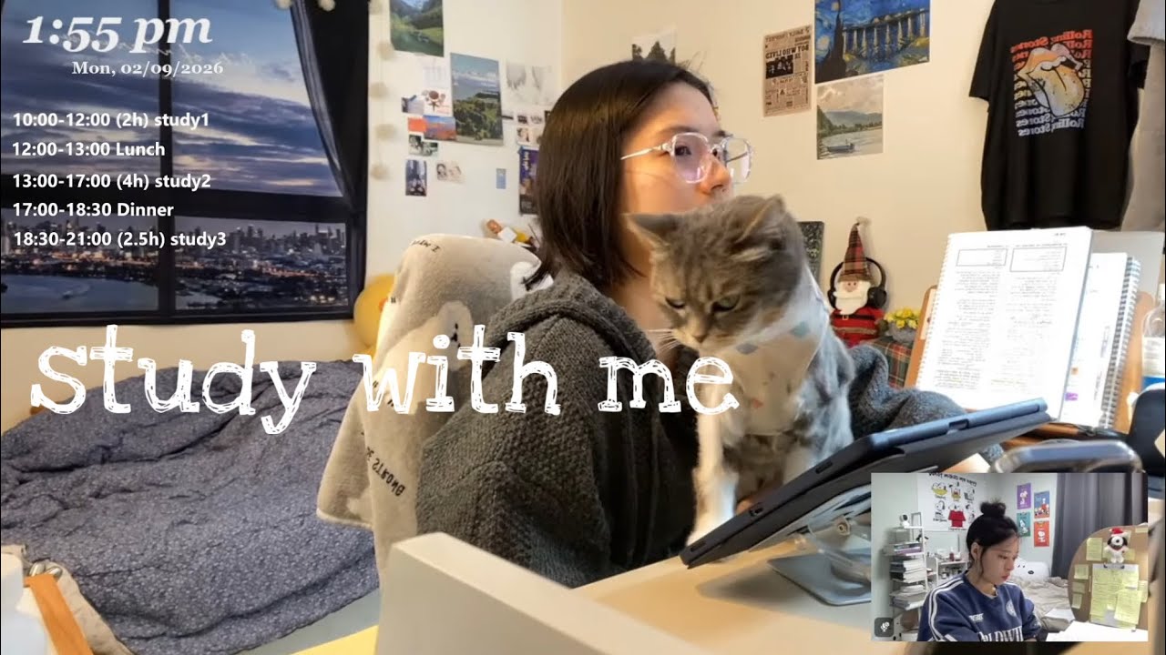 LIVE study with me/ 스터디윗미📚/ 천둥 빗소리, 장작asmr