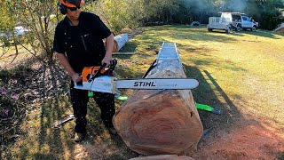 #sthil + Tree meets Stihl MS881 Magnum #viral #sthil #chainsawman by Southern Star Review 2,037 views 5 months ago 28 minutes