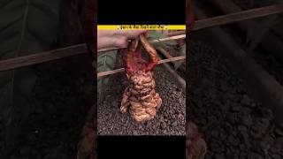 🤯 दुनिया के 2 सबसे Rare और खतरनाक पौधे | Mandrake & Baobab Facts 😱#shortvideo#shorts#viral#plants