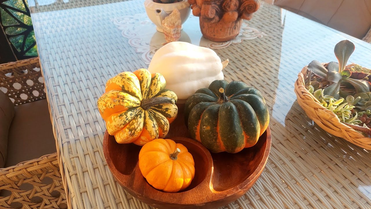 Migrostan Aldığım Mini Kabaklar , Bahçemle Vedalaşıyorum