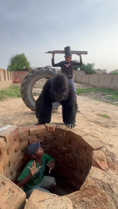 Boy trapped inside the well gorilla and zombie