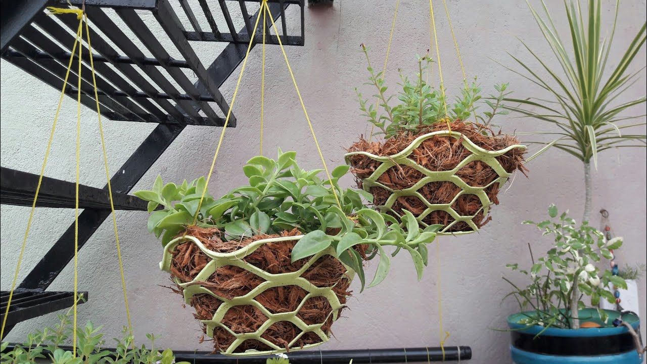 How To Make Beautiful Hanging Basket Out Of Coconut Fiber Coconut Fiber Chicken Seasoning Hanging Baskets