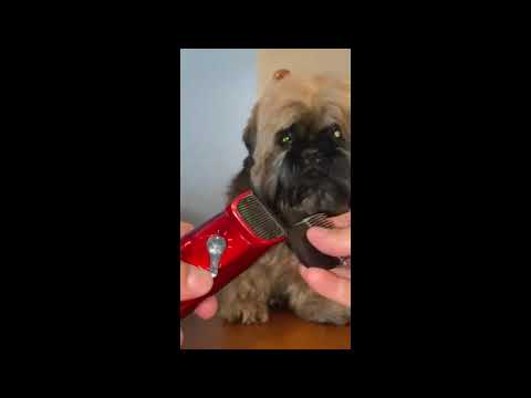 Керамический нож 9 мм стрижка пса. Машинка CODOS
