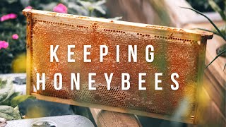 Answering your beekeeping questions