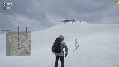 Ice Station Z: How To Get A Dog Friend!! (Tips & Tricks!)