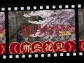🎼《那些花兒》背景：四月的紐約.#紐約 