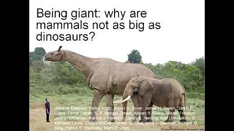 Being Giant: Why are Mammals Not as Big as Dinosau...