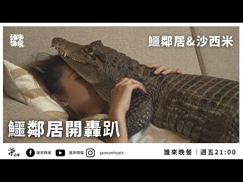 【公視 誰來晚餐 13-20】鱷鄰居開轟趴：家有50種動物的@鱷鄰居&沙西米 Croco Sashimi ｜Guess Who: Crocodile Party