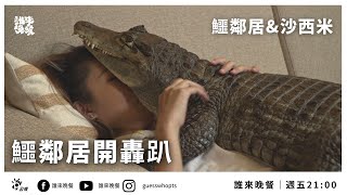 【公視 誰來晚餐 1320】鱷鄰居開轟趴家有50種動物的@crocosashimi Guess Who: Crocodile Party