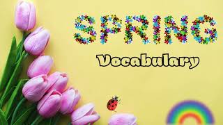 Spring| Vocabulary with sentences | Learn English