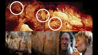 World’s oldest cave paintings reveal, Neanderthals produced art 20,000 years BEFORE modern man