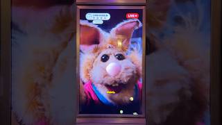 🤘 Take a look at some of the attraction's easter eggs! 🎢 #TheMuppets #HollywoodStudios