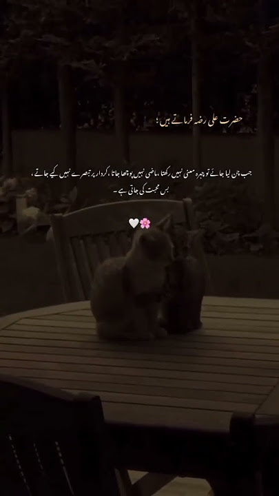 hazrat Ali sw says 🥹🌸 #ahmi
