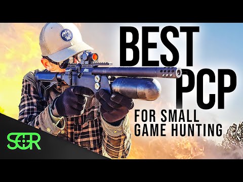 BEST HUNTING PCP for 2024 - SMALL GAME - BRK Pathfinder .22 REVIEW