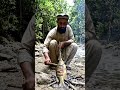 #jungle fun.#streetfood #villagecooking #fishrecipe #cookingvideo #asianfood ,#indianfood
