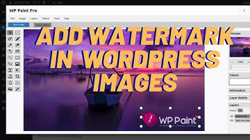 How to add Watermark in WordPress Images using the WP Paint Pro Plugin