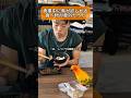 鳥が欲しがった人間の食べ物とは？？🍚 #インコ #コガネメキシコインコ #セキセイインコ #暮らし # #暮らしチャンネル #birds #ごはん #ペット