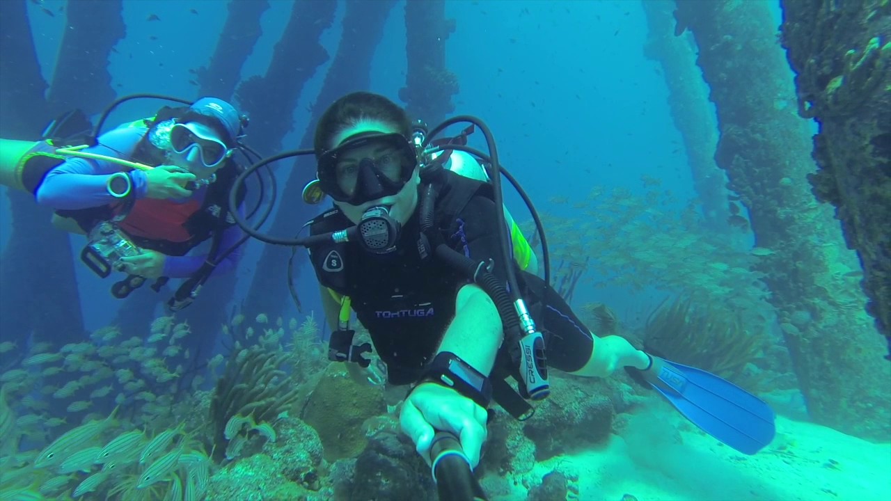 Shore Diving at Salt Pier in Bonaire at the top of your list with VIP
