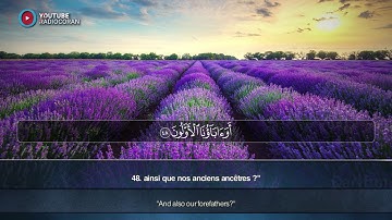 Sourate Al Waqiah - Saadoun Hameedi سورة الواقعة سعدون حمادي