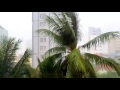 Monsoon ASMR - wind and rain sounds - helpful for a blessed sleep