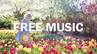 Silent Partner - Spring In My Step (No Copyright Music)