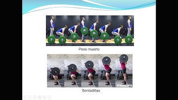 Estimación de la fuerza máxima (1RM)