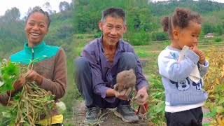 It's time to collect sweet potatoes, my sister came to help me. Make Maodou today for my sister