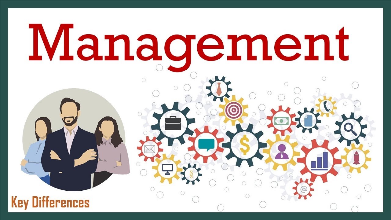 Contribute to a Management Website