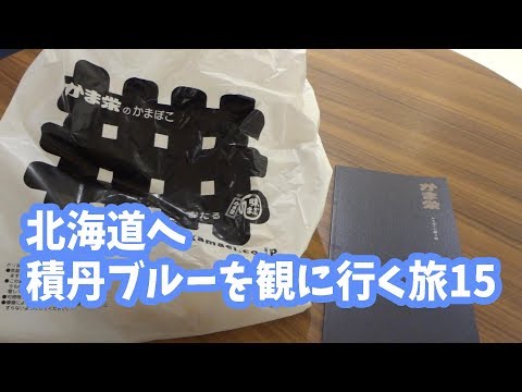 北海道旅行記 積丹ブルーが観たかった15(新千歳空港でランチほか)