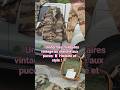 🪖 Uniformes militaires vintage au marché aux puces 🇫🇷 Histoire et style ! ⚔️#subscribe