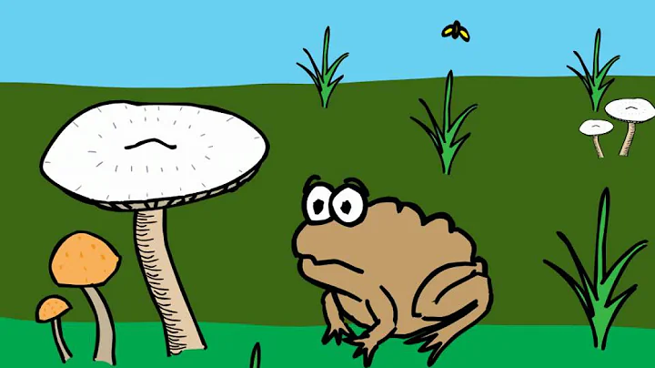 Toad and Fly