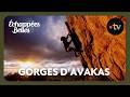 Chypre : les décors magnifiques des Gorges d'Avakas - Echappées belles 1 février 2025