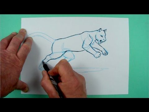Video: Wie Zeichnet Man Ein Raubtier