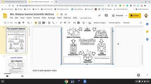 Scientific Method Slides