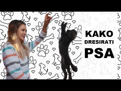 Video: Kako Dresirati Svog Psa Do Separea