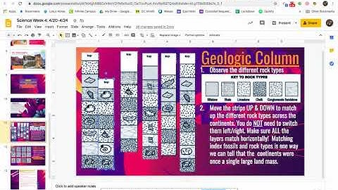 Week 4: Index Fossils