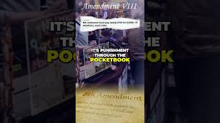 Celebrity The Eighth Amendment Explained: Protecting YOU From Excessive Fines And Government Overreach Net Worth