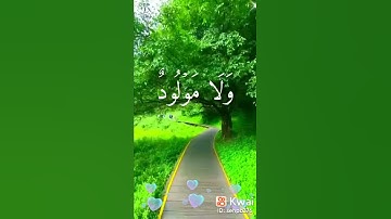 تلاوة القرآن الكريم صوت الشيخ ياسر الدوسري تلاوة باكية لا تهرب من القرآن إحترم القرآن دقيقة فقط🤚🏻😔