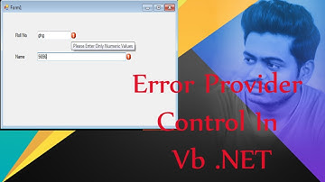 ErrorProviderInVbDotNet