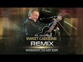 Neil Diamond Sweet Caroline REMIX WORKOUT DJ ART 