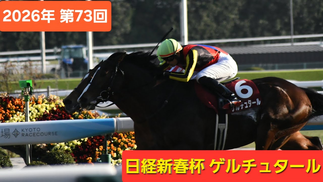 【現地映像】2026年第73回日経新春杯（GⅡ）優勝馬ゲルチュタール号