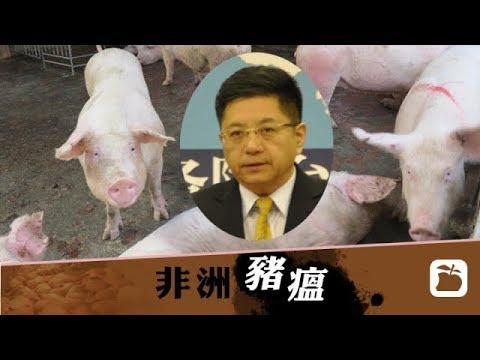 《石涛聚焦》猪瘟失控大爆发-迎接猪年『2019 万劫不复 在劫难逃』海关不合理更新被封猪场 天津74吨猪血清蛋白含非洲猪瘟已出口韩日台 国台办斥台炒作疫情煽动不满 