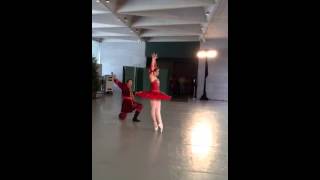 The Firebird music: Igor Stravinsky