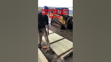 Awesome Sawmill set up ….             HUGE LOGS!               #homestead #sawmill