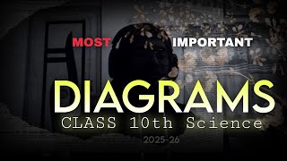 Attention ⚠️ don't miss these Diagrams | Class 10 | boards 2025-26