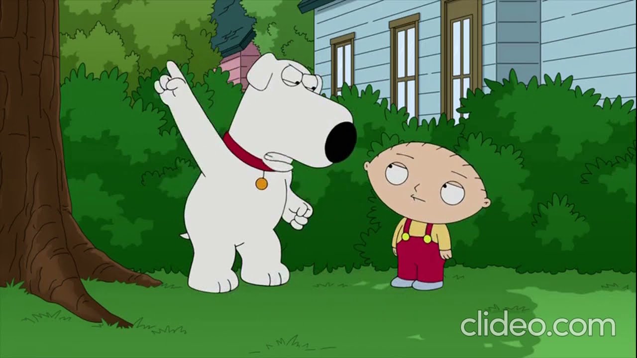 Family Guy Brian After a Squirrel YouTube