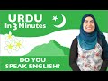 Urdu in Three Minutes - Do You Speak English?