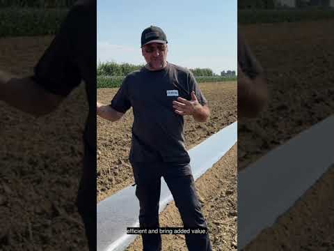 Directly from the experimental field of Growan 🌱 | FORIGO Roteritalia