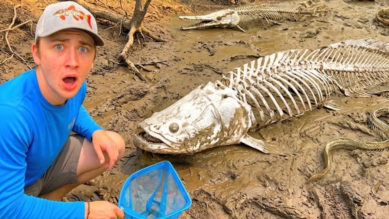 Sauvetage express : tous les poissons sauvés d’un étang abandonné en cours de destruction !